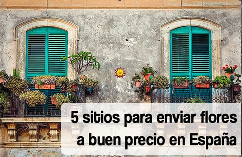 5 sitios para enviar flores a buen precio en España - Una Pizca de  Educación | Familia · Maestros · Niños
